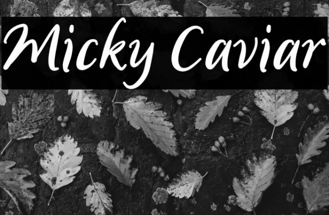 Micky Caviar Font examples