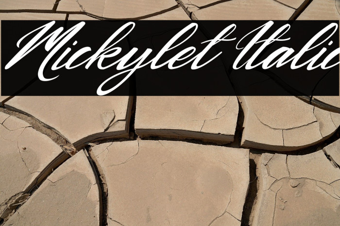 Mickylet Italic Example 2