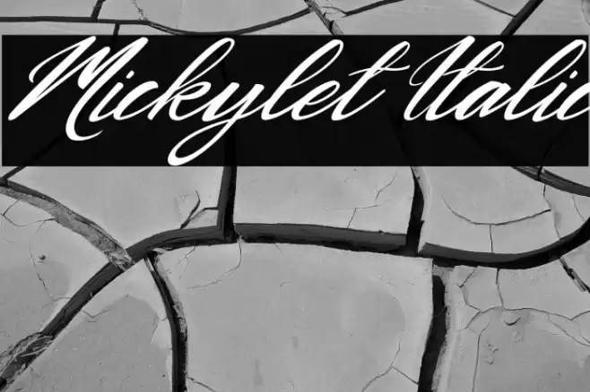 Mickylet Italic Font examples
