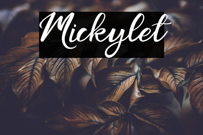 Mickylet Example 1