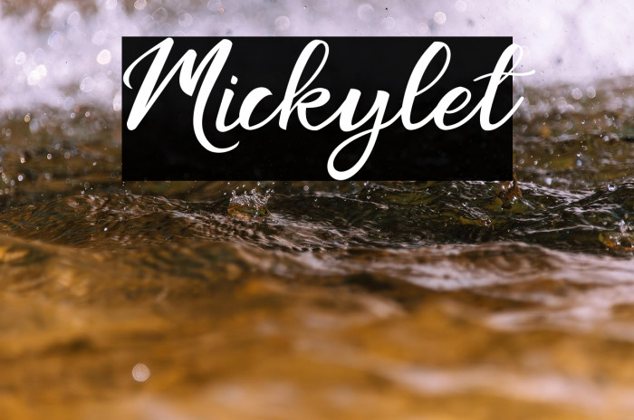 Mickylet Example 3