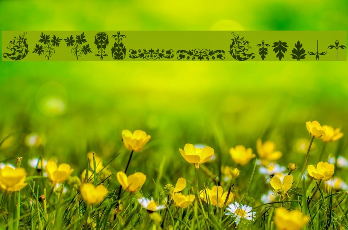Micro Fleurons Eighteen Font examples
