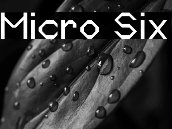 Micro Six Example 2