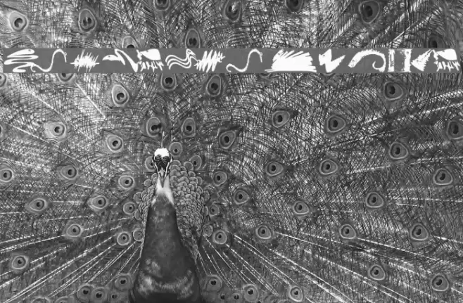 MicroBeingsTwo Font examples