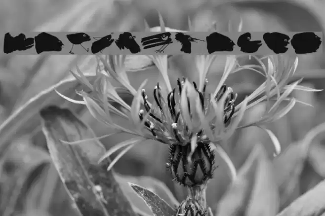 MicroBeings Font examples