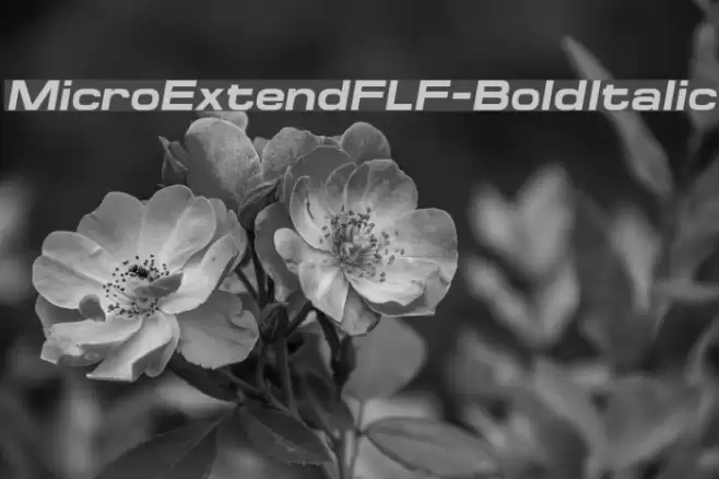 MicroExtendFLF-BoldItalic Font examples