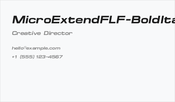 MicroExtendFLF-BoldItalic Business Card