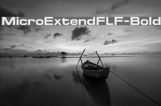 MicroExtendFLF-Bold Font examples