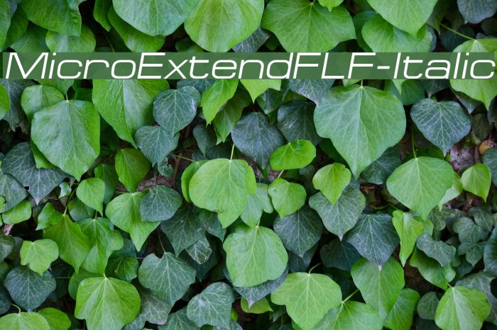MicroExtendFLF-Italic Font examples