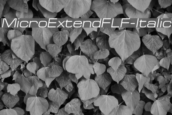 MicroExtendFLF-Italic Font examples
