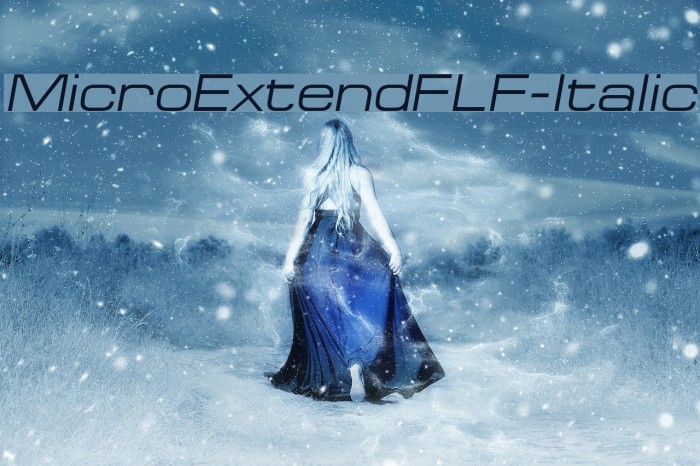 MicroExtendFLF-Italic Font examples