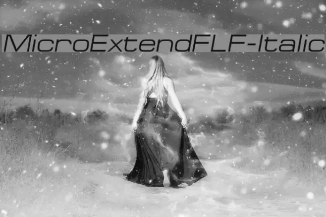 MicroExtendFLF-Italic Font examples