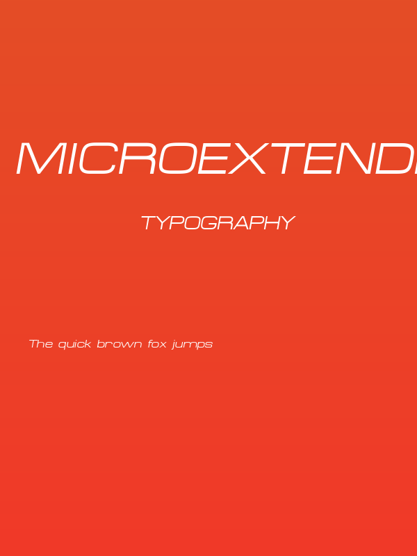 MicroExtendFLF-Italic Poster