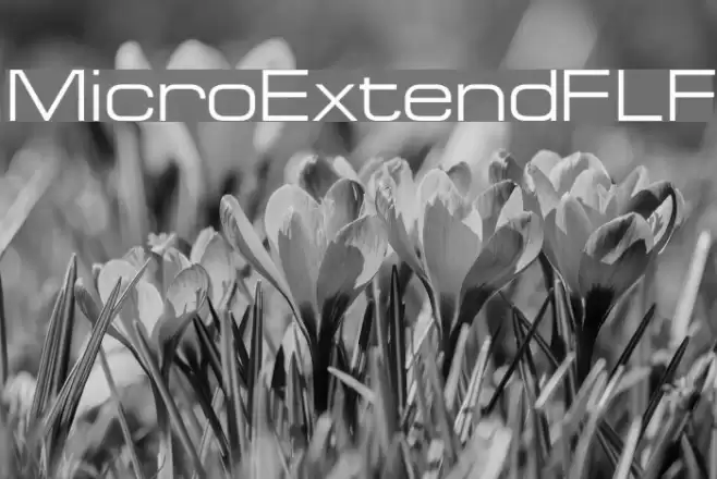 MicroExtendFLF Font examples