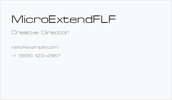 MicroExtendFLF Business Card
