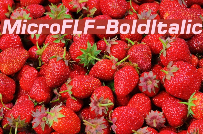 MicroFLF-BoldItalic Font examples