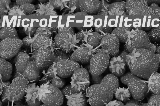 MicroFLF-BoldItalic  examples