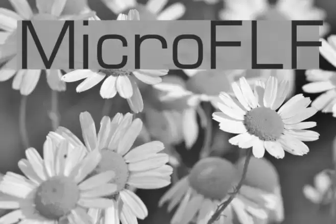 MicroFLF Schriftart examples