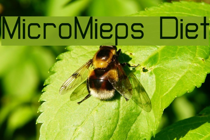 MicroMieps Diet Font examples