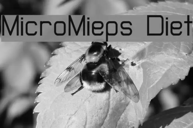 MicroMieps Diet خط examples