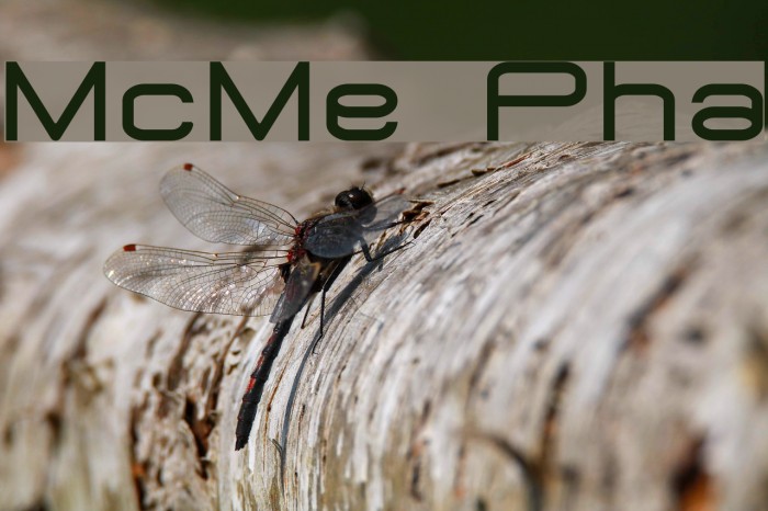 MicroMieps Phat Font examples