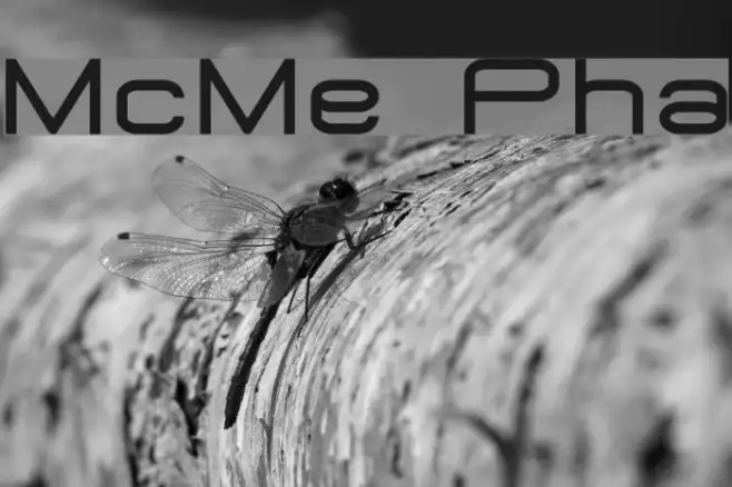 MicroMieps Phat Example 3