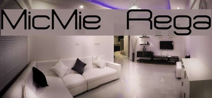 MicroMieps Regular Example 2