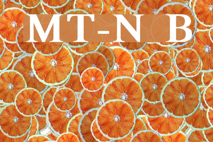 MicroTiempo-Normal Bold Font examples
