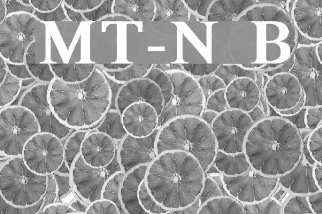 MicroTiempo-Normal Bold Example 3