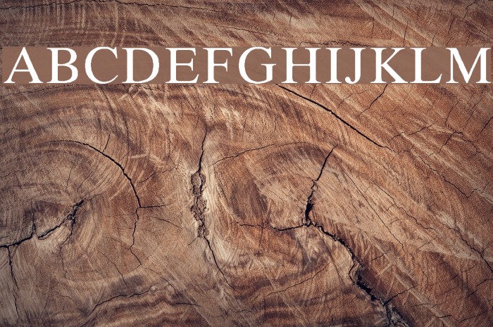 MicroTiempo-Normal Font examples