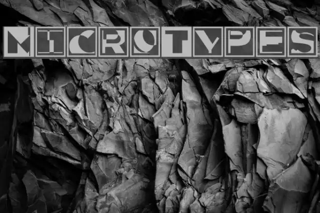 MicroTypes Example 1