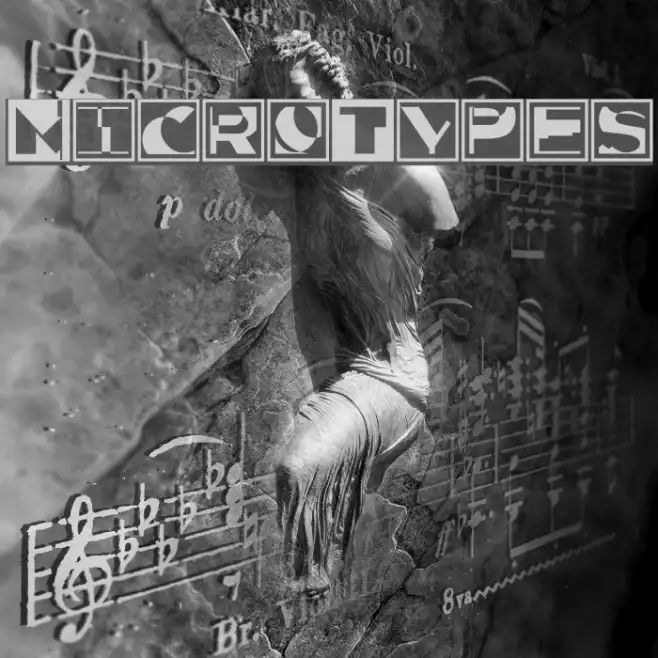 MicroTypes Example 2