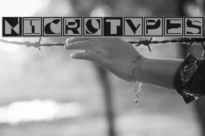 MicroTypes Example 3