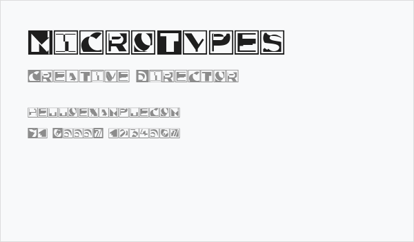 MicroTypes Business Card