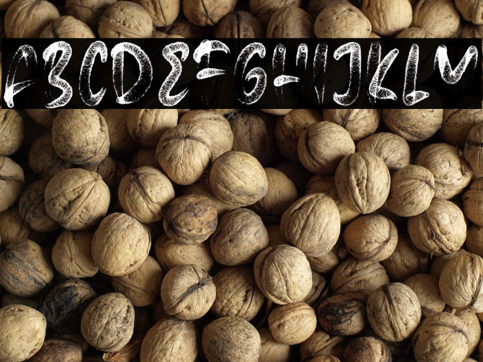 MicrobaProRegular Example 1