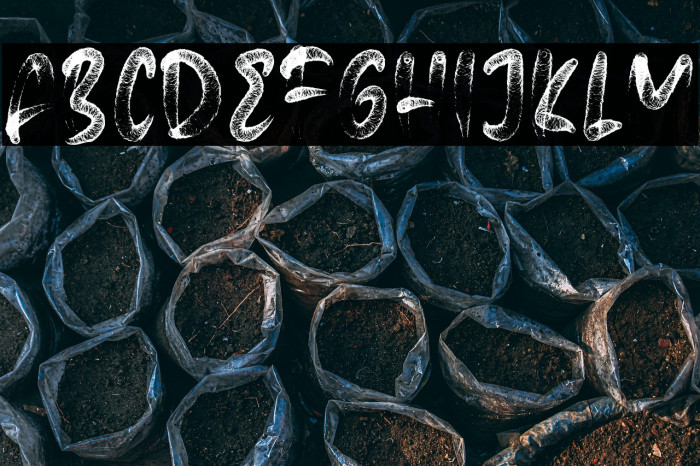 MicrobaProRegular Example 2