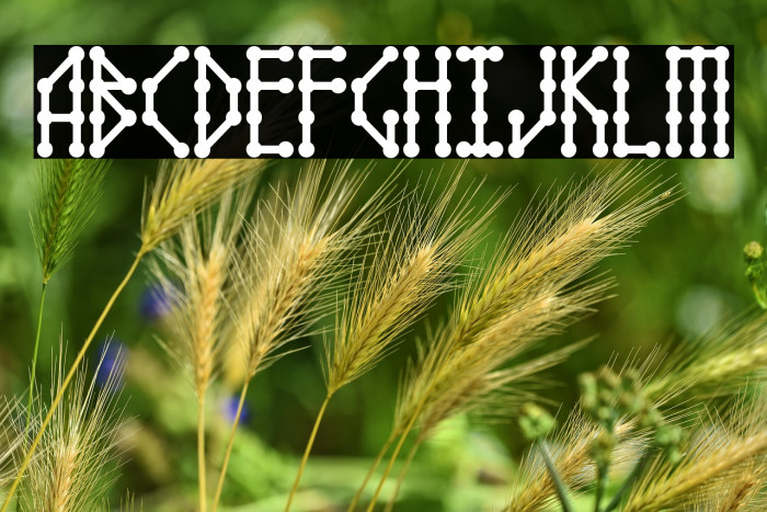 Microbe AOE Example 2