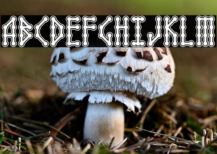 Microbe Collegiate AOE Example 1