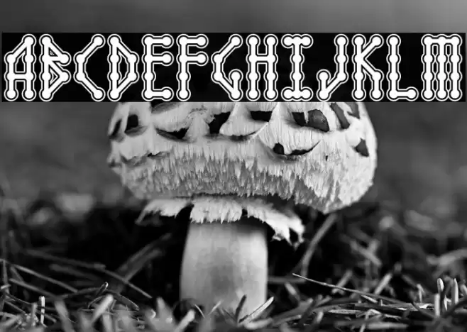 Microbe Collegiate AOE Font examples