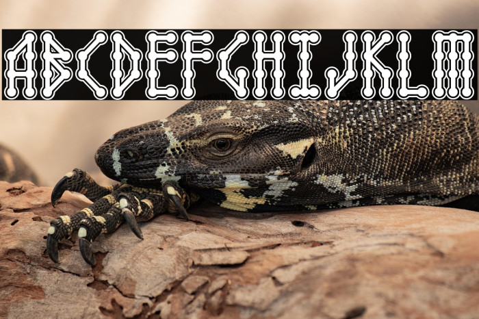 Microbe Collegiate AOE Example 3