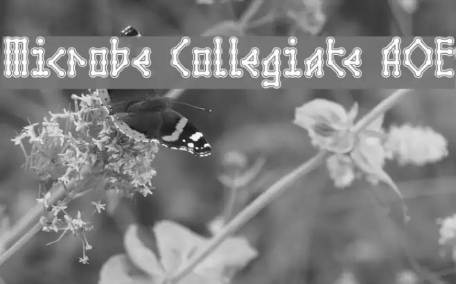 Microbe Collegiate AOE Font examples