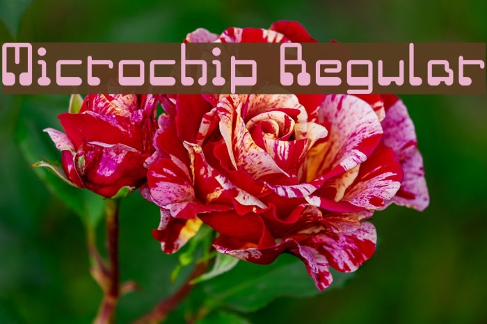 Microchip Regular Font examples