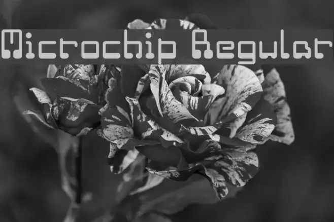Microchip Regular Example 1