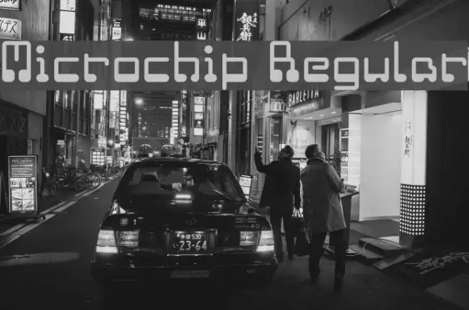 Microchip Regular Example 2
