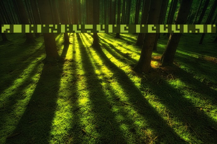 Microfuture Regular Example 2