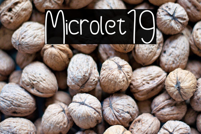 Microlet19 Example 1