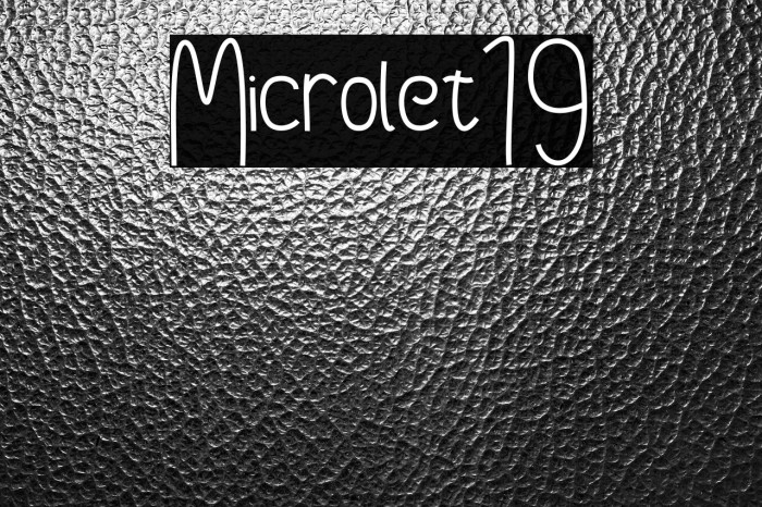 Microlet19 Example 2