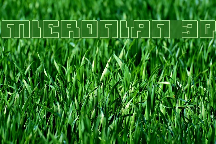 Micronian 3D Font examples