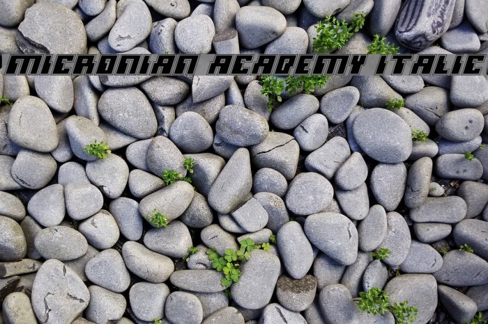 Micronian Academy Italic Font examples