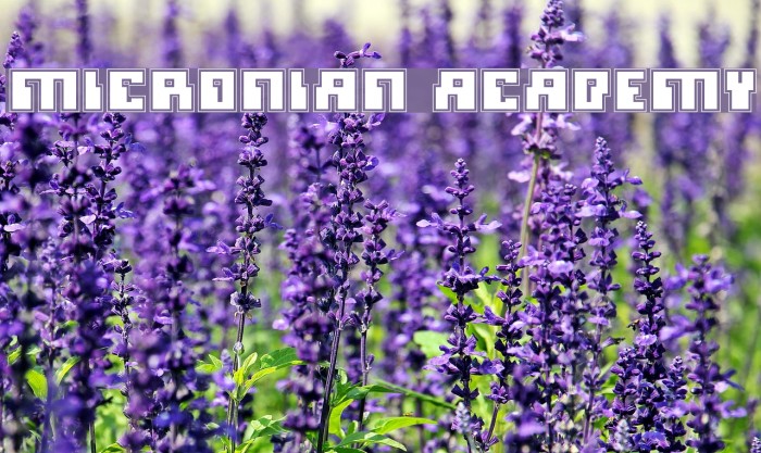 Micronian Academy Schriftart examples